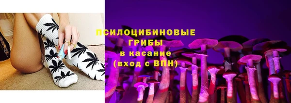 соль ск Богданович