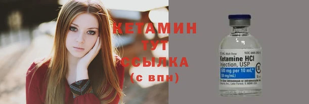 прущие грибы Богородицк