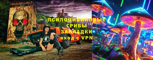 соль ск Богданович