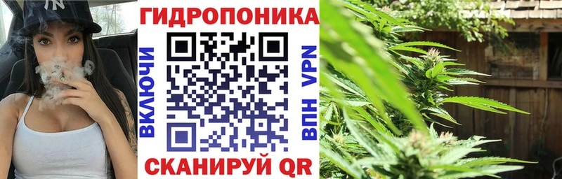 Канабис SATIVA & INDICA  Киренск 